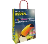 Aspen Forest A4 Twist Handled Kraft Paper Bag